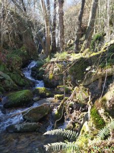 5 rutas de senderismo que hacer en Asturias